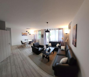 City Center Apt WFree P